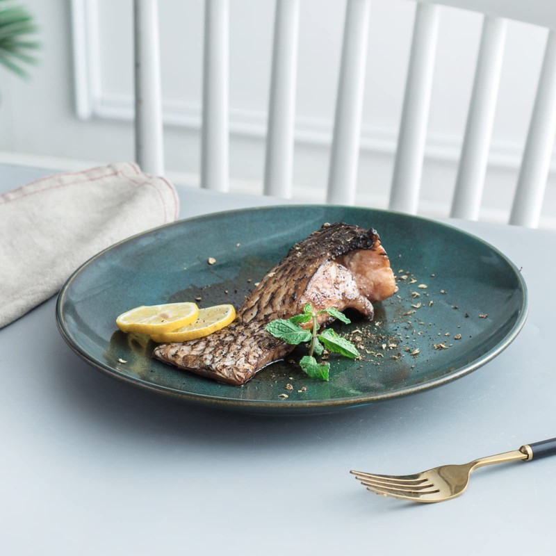 UNICASA Ceramic 10.25 Inch Dinner Plates Set, Porcelain Pasta Plate