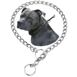 Dog Chain Collars, Choke Collar for Dogs, Slip P Chain Choker Stainless Steel Link Dog Collar Martingale Training Puppy Collars for XXS XS Small Medium Large Breed Dog, Silver XS