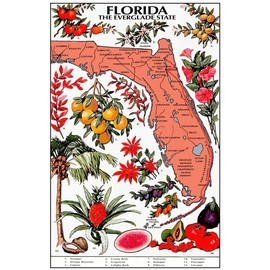 VEWETOL Fun Jigsaw Puzzle for Adults 500 Pieces Florida The Everglades State Map Wooden Puzzles Best Brain Exercises Educational Gift Home Decor, 20.5 x 15 Inch