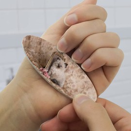 Ragdoll Tiffany Cat Kitten Victorian Roses Double-Sided Oval Nail File Emery Board Set 4 Pack