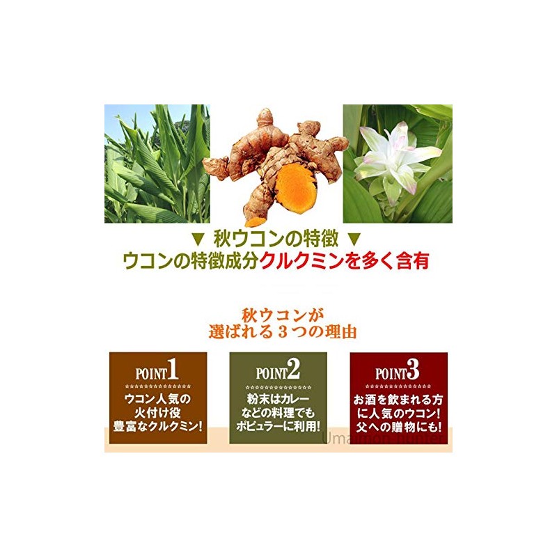 Autumn Turmeric Powder, 3.5 oz (100 g) x 1 Bag,