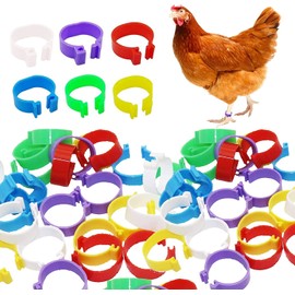 Voarge Pack of 60 Poultry Bands, Plastic Poultry Leg Rings for Chickens, Ducks, Chickens, Pigeons, Small Animals, 6 Colours, Easy to Distinguish