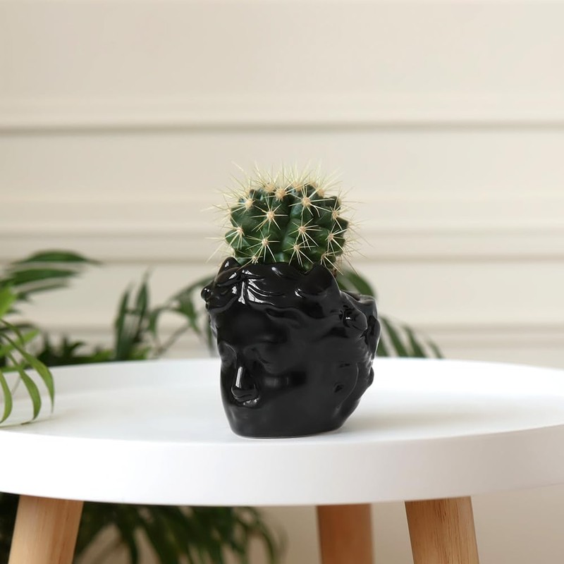 DOMIVKA Small Head Planter - Ceramic Face Planter Pots for