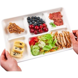 PRISTINE ENTERPRISE Large Strong 5 Compartment Disposable Plates for Lunch & Dinner 25pcs, 30x20x5cm, Disposable Lunch Plates, Used with HOT & Cold Foods (5 Compartment Strong Dinner Plates 25pcs)