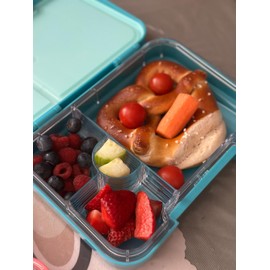 Generisch BPA-Free Lunch Box with Multiple Leak-proof Compartments for a Healthy and Eco-Friendly Diet (Turquoise)