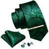 Barry.Wang Men's Plain Paisley Tie Satin with Pocket Square Wedding