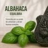 Jabón De Ruda Romero Albahaca Y Lavanda Limpieza Energética