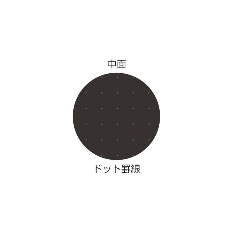 Pilot NFB0240 Black Notebook, B5, Dot Ruled, Notebook Type