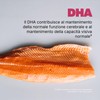 Swisse Omega 3 Concentrato 60 capsule molli 1800 mg di
