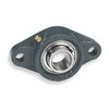Flange Bearing, 2-Bolt, Ball, 1-3/8" Bore
