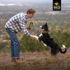 MOUNTAIN WILD MOUNTAIN WILD Training Treat Nibs for Dogs, Elk