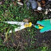 GRÜNTEK Icebird Grass Shears – Premium Lawn Edge Scissors with