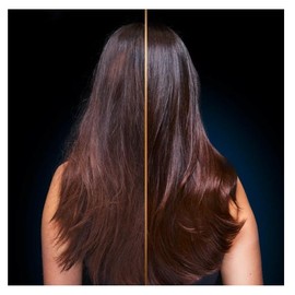 Garnier Botanic Therapy Magnetic Charcoal Hair Remedy 340ml