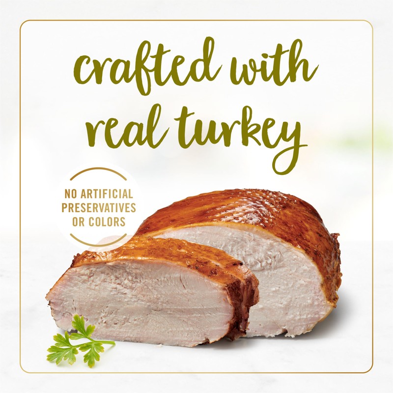Purina Fancy Feast Pate Turkey and Giblets Feast Classic Grain