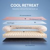 blunique Cooling Dog Bed for Small, Medium Dogs & Cats