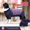 Pinellia Dog Recovery Suit, Abdominal Wound After Surgery Wear, Anti