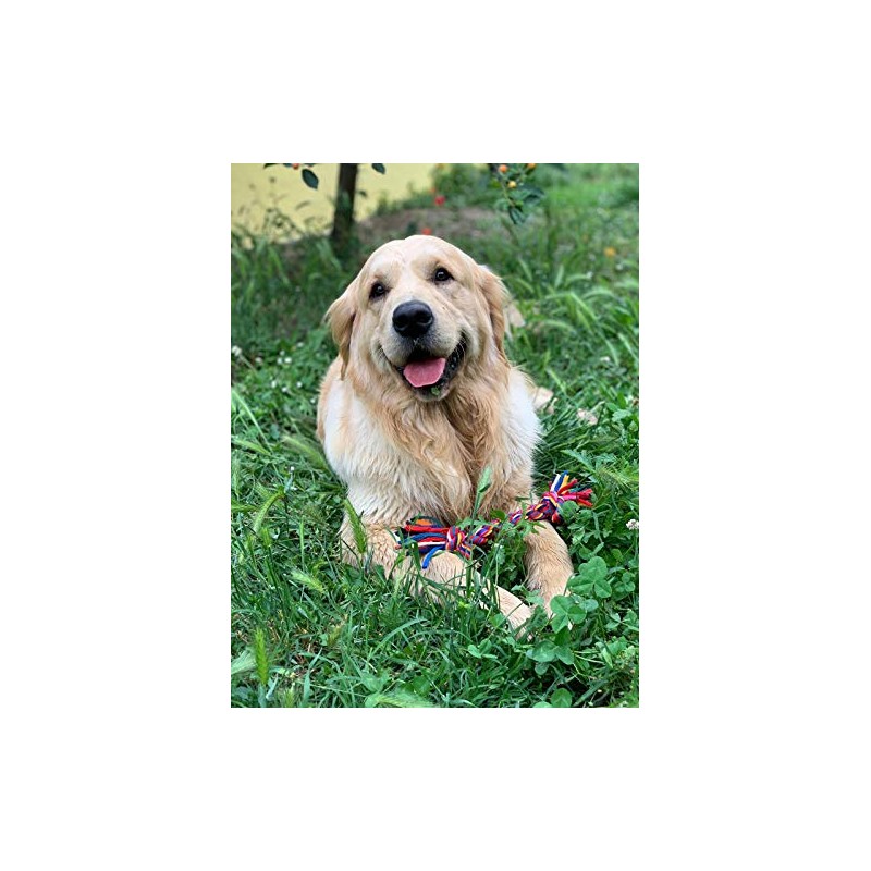 Nuts For Knots "Twist-Tee" 2 Knot Tugger Cotton Dog Toy