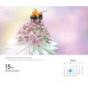 2024 Photo of the Day Box Calendar