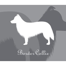Border Collie Dog Sticker Premium Silhouette Gray M Size MK-2