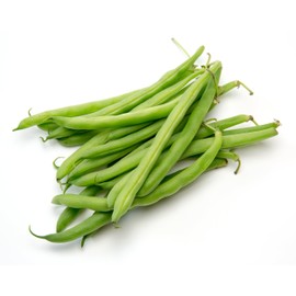 Green Bean Seeds-Heirloom Variety-Bush Bean Planting Seeds-50+ Seeds-USA Grown and Shipped from USA