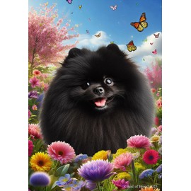 Pomeranian Black - Best of Breed Spring Butterfly Outdoor Garden Flag 12" x 17" Mailbox Flag Dog Flag
