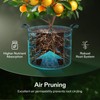 VIVOSUN 5-Pack 5 Gallon Grow Bags Heavy Duty 300G Thickened