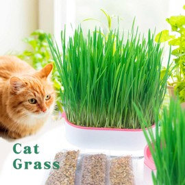 NEKOSEKO Cat Grass Hydroponics,Can Be Used Three Times, Indoor Soilless Cat Grass Kit, Easy to Operate, 100% Organic,Cat Grass Cup, Indoor Cat Grass.（Pink）