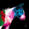 International Graphics - Finished Picture - Patrice, Murciano - ''Bull