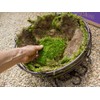 SuperMoss (21588) Sheet Moss Preserved, Natural, 5 Pounds (20-24 sq.