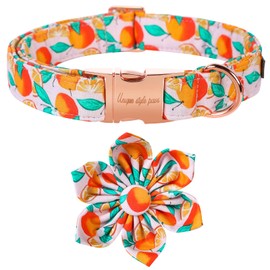 Unique style paws Dog Collar, Girl Dog Collar with Flower, Summer Adjustable Dog Collar Pet Collar for Small Memium Large Dogs