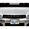 Twisted R Design Tropical Sea Turtles Front License Plate Car