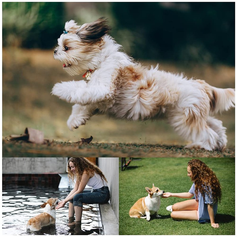 Bvrbaory 6 Pack Dog Flying Discs - Interactive, Soft Floating