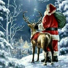 Christmas Blend 2 Half Pound Bags One Red, One Gold Whole Bean Coffee