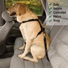 SlowTon Dog Seatbelt, Pet Car Seat Belt Latch Bar Attachment