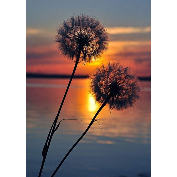 DCIDBEI DIY 5D Square Diamond Painting by Numbers Set, Square