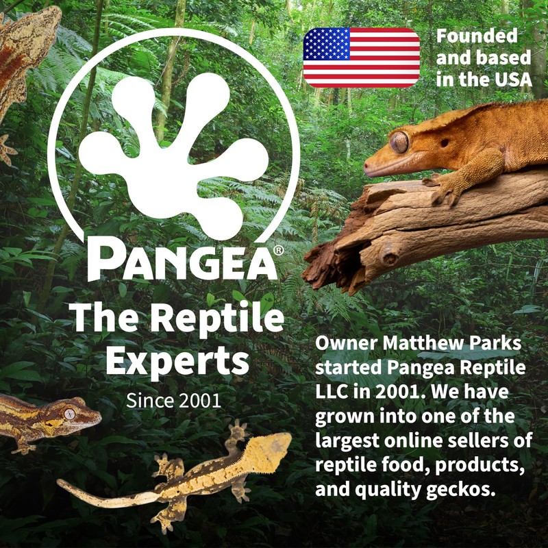 Pangea Reptile Hide Box (F - X-Large 16.25"x11"x4.5") - Fits