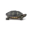 PAPO Florida Jewellery Turtle