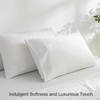 JELLYMONI Cotton Standard Pillowcases Set of 2, Soft and Cozy,