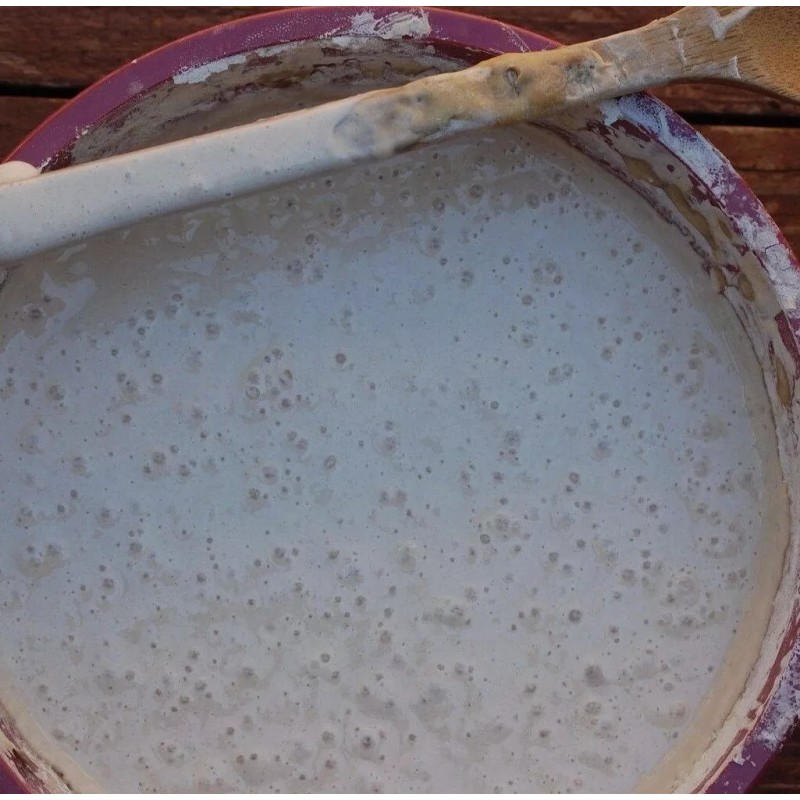 Unbranded THE BEAST sourdough starter 10 sourdough yeasts in 1