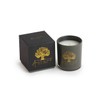 The ANCIENT OLIVE TREES Candle | 65-Hour Burn Time |