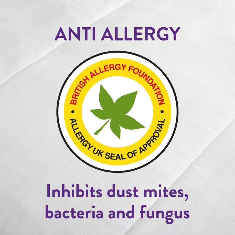 Slumberdown Anti Allergy Mattress Protector Single Bed - Anti Bacterial
