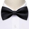 Barry.Wang Black Bow Tie Set Men Striped Silk Pre-Tied Bowtie