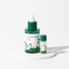 ROUND LAB/Pines/Soothing/Cica/Ampoule/30ml/Planning