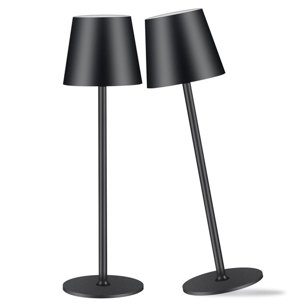 Zoeger 2 Pack Cordless Table Lamp,Portable LED Desk Lamp, 6000mAh