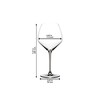 Riedel Extreme Pinot Noir