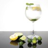Olympia Bar Collection Crystal Gin Glasses 645ml (Pack of 6)