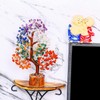 7 Chakras – Chakra Stones – Tree of Life –