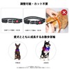 (2025 Model Advance Release) Glowing Collar, Dog Walking Light, (5