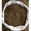 20 lbs. (9-3-1) High Nitrogen Mexican Free-Tail Bat Guano Soil