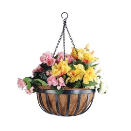 Arcadia Garden Products 1592 Solstice Series Coconut Hanging Basket 16-Inch
